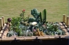 gardenshow0929-08