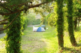 ぽつーんと私たちだけで、贅沢な時間です。