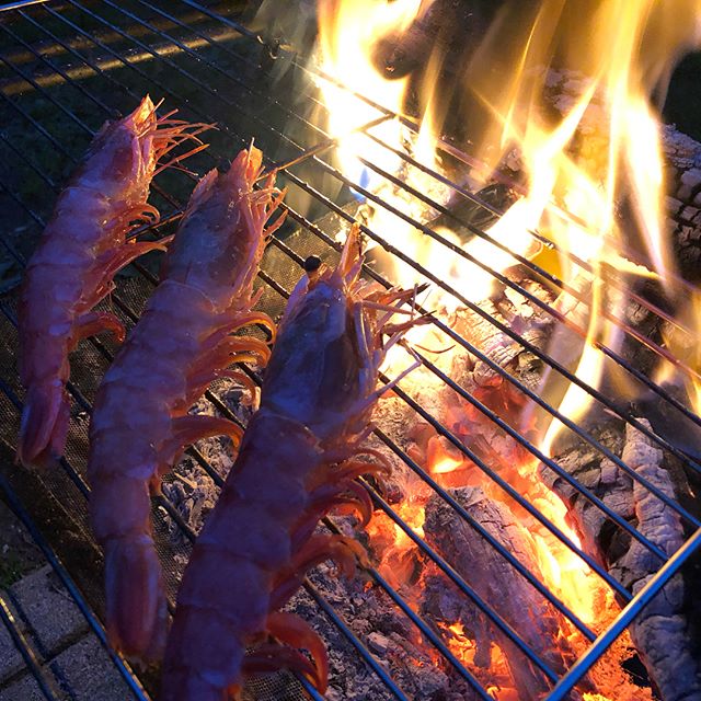 雨の前後に焼き物、まんぷく。いつもは翌日の朝ごはんでよく食べますが、炊きたてごはんのたまごかけごはんは、最高でした。年取ると、シンプルなものに走りますね。#キャンプ飯 #シンプル