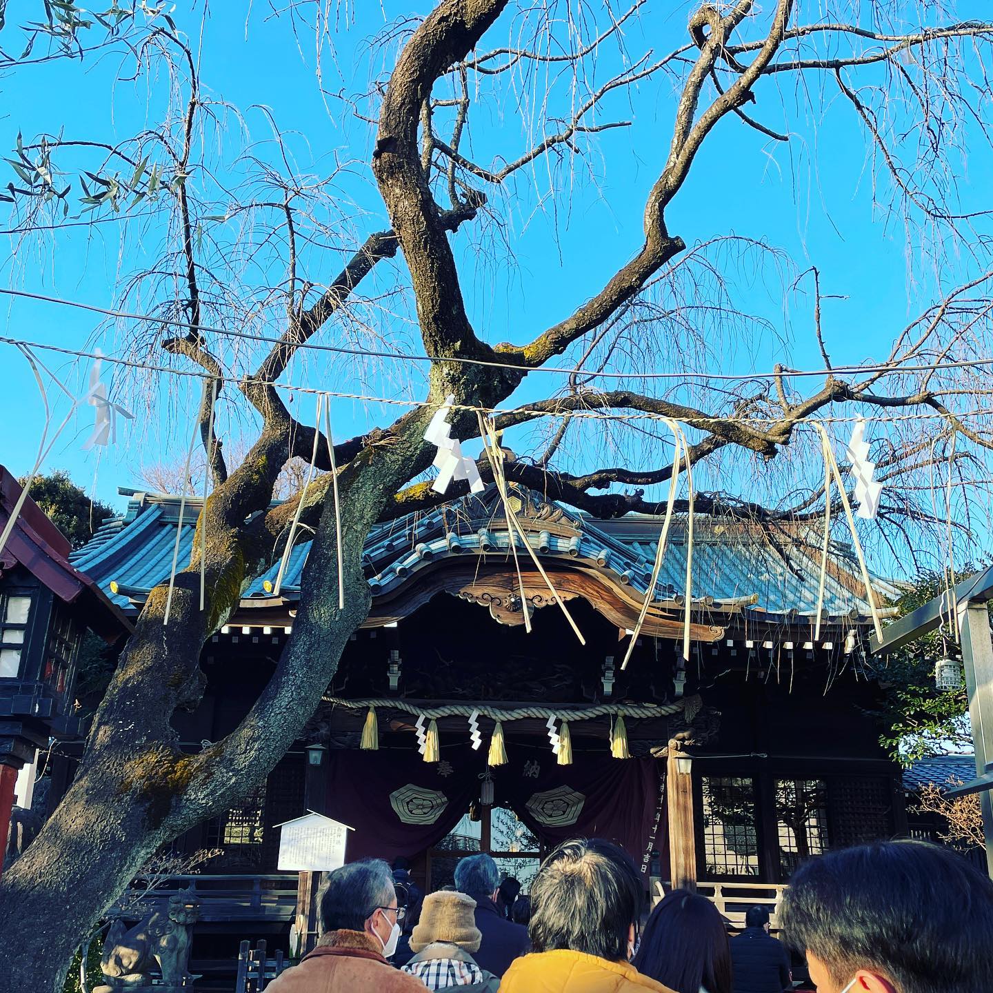 今年も実家近くの神社からスタート。朝はおしるこ、美味しかった♪ #白山神社 #文京区 #shrine