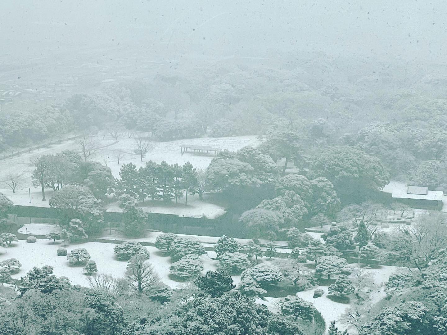 どうせ降らないと思ってたら、結構な️☃️。 #積雪 #snowing #tokyo
