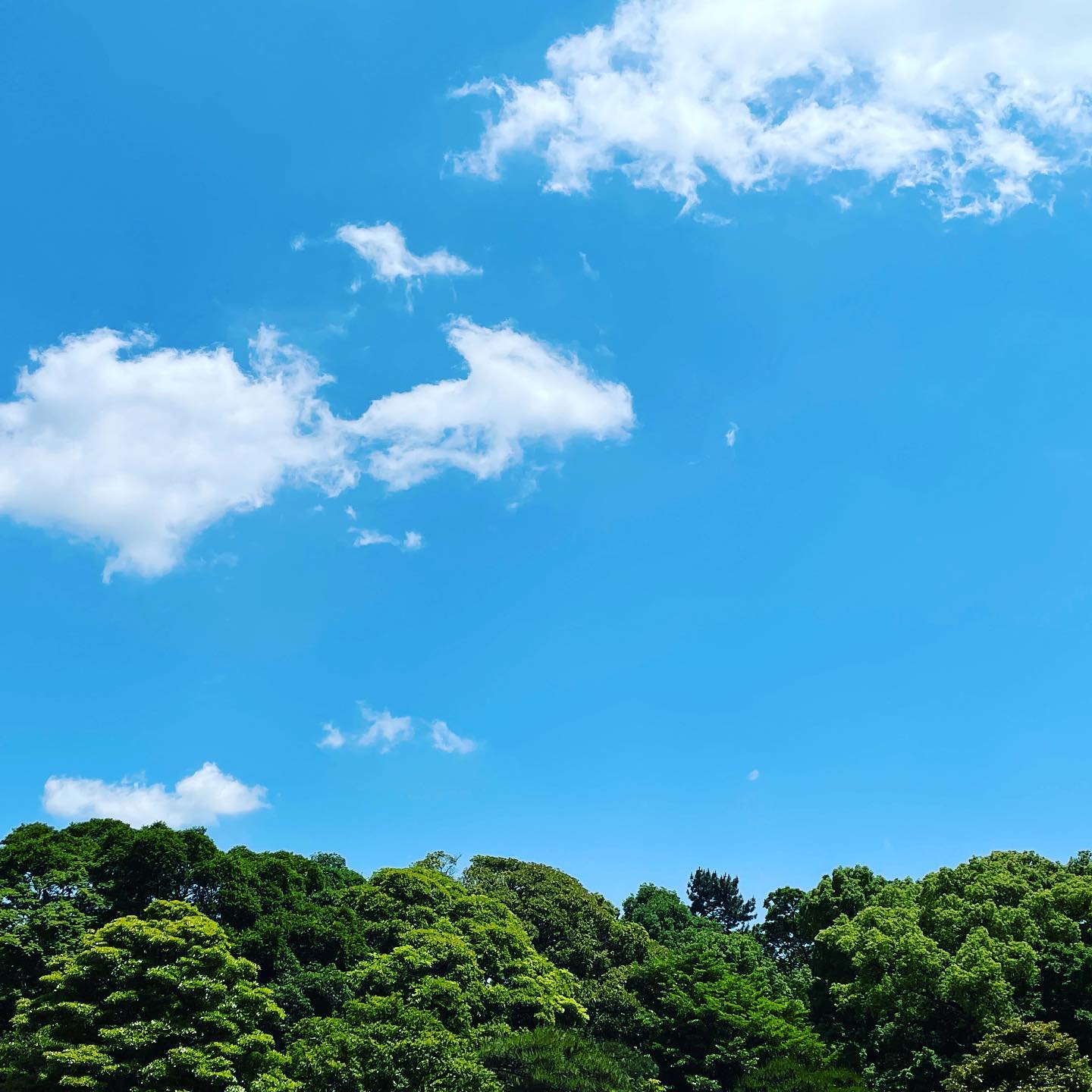 ひゃー気持ちいい。お弁当終了。#hamarikyugardens #lunch #浜離宮恩賜庭園 #年パス