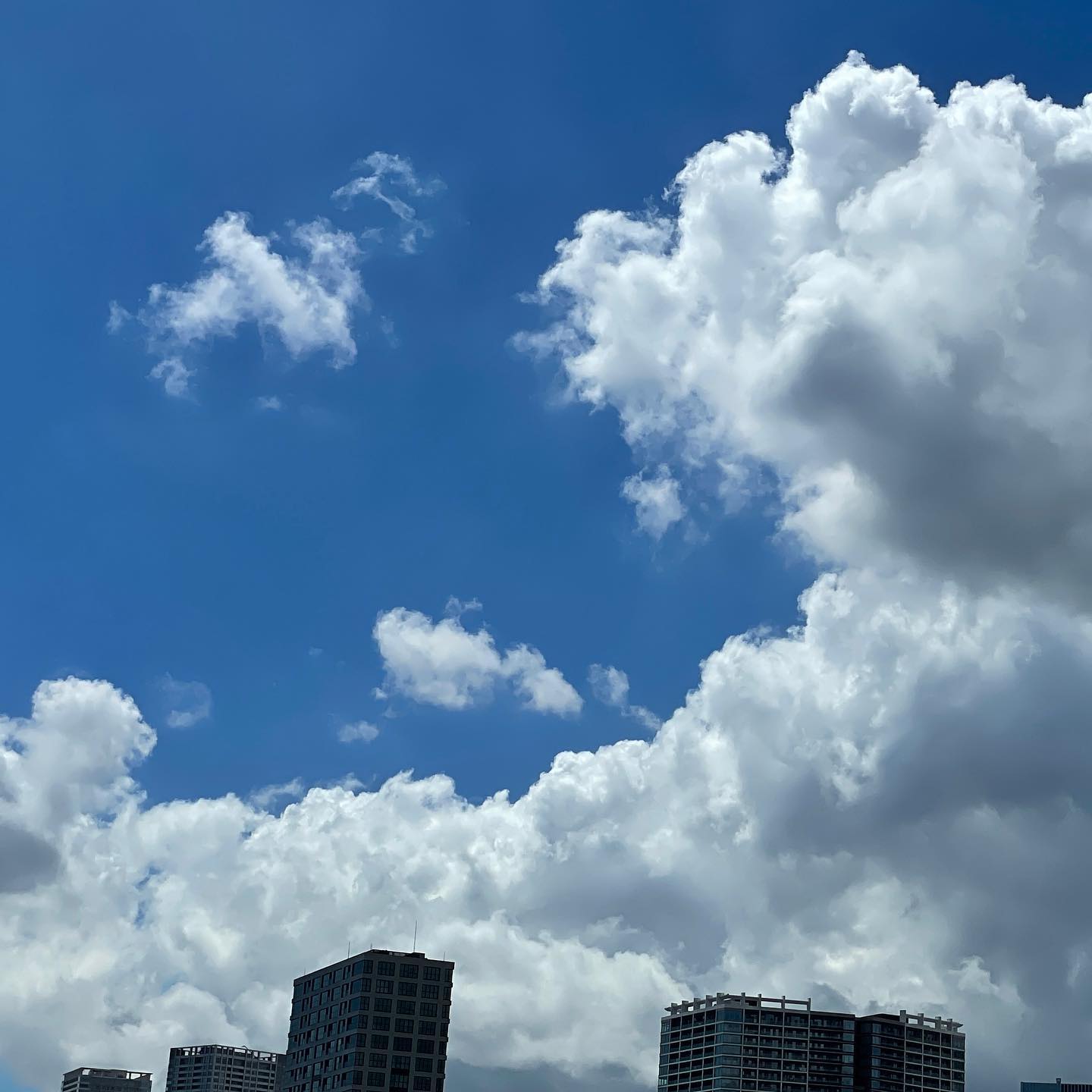 お昼は散歩でリフレッシュできるからまだ良いけど、今週は疲れた…。一昨日の昼空。海っぺりの空、見てて楽しい。  #tgifridays #skylovers