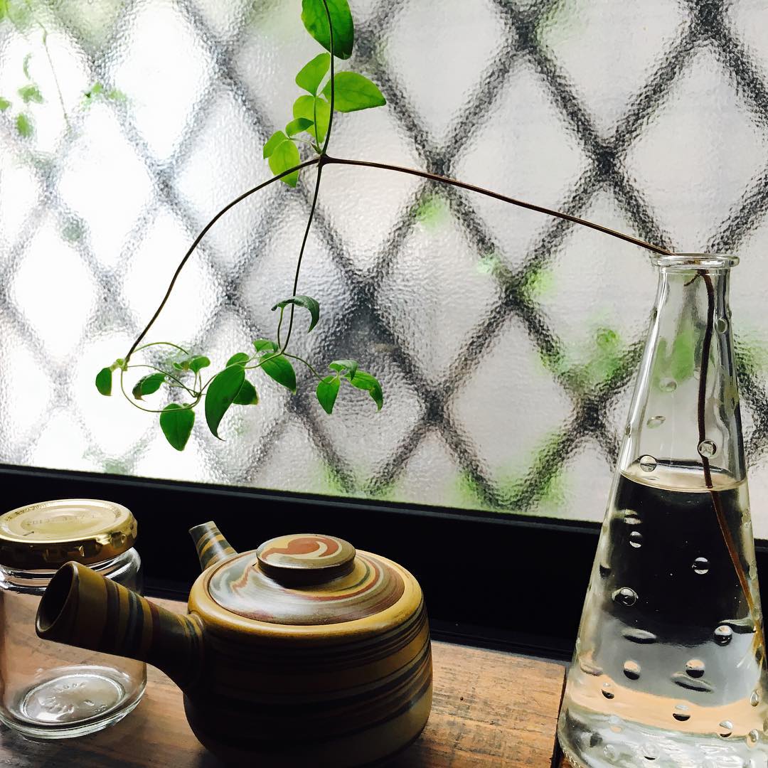 Good morning, clematis 枯葉を取るのに間違えて切ってしまった子で、早3ヶ月。茎から根が出てきました。上の葉3枚もここにきてから出てきた葉です。ガラス越しも同じClematis‘Wezrai Creem’”ウェズレイ・クリーム #clematis #gardening #nature #plantlove #plant #growsomethinggreen #instagardeners_feature #nofilter #iphonegraphy #lovemyhouse #kitchen #view #台所 #クレマチス #急須